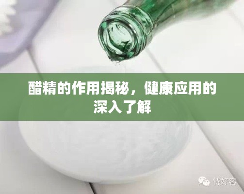 醋精的作用揭秘，健康应用的深入了解
