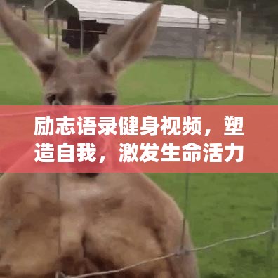 励志语录健身视频，塑造自我，激发生命活力
