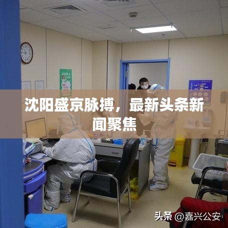 沈阳盛京脉搏，最新头条新闻聚焦