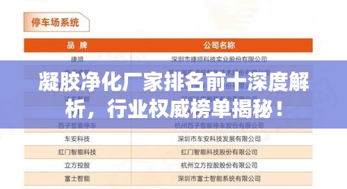 凝胶净化厂家排名前十深度解析，行业权威榜单揭秘！