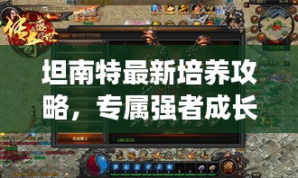 坦南特最新培养攻略，专属强者成长之路揭秘