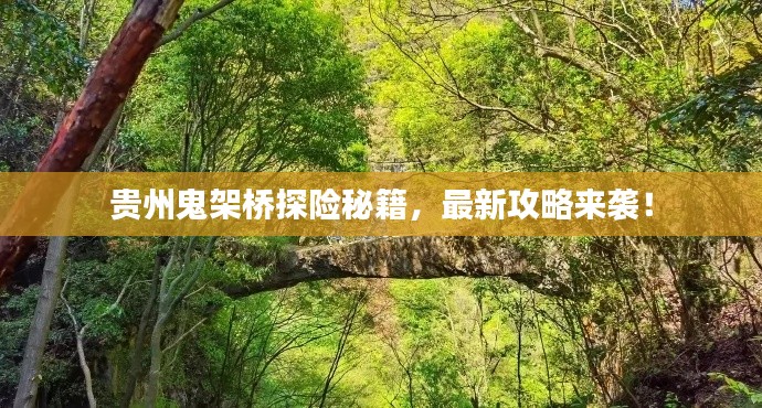贵州鬼架桥探险秘籍，最新攻略来袭！