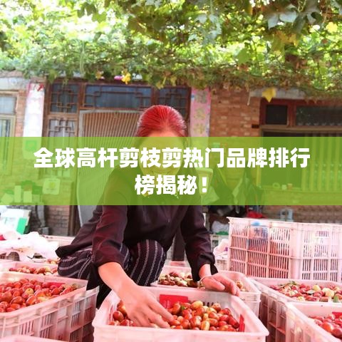 全球高杆剪枝剪热门品牌排行榜揭秘！