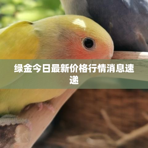 蚕丛鸟道