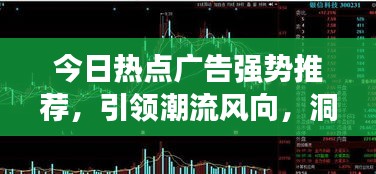 今日热点广告强势推荐，引领潮流风向，洞悉市场趋势