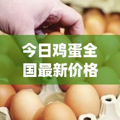 今日鸡蛋全国最新价格走势分析及未来展望