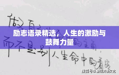 销声匿迹 第2页