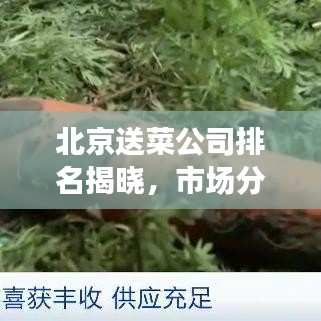 北京送菜公司排名揭晓，市场分析与趋势解读