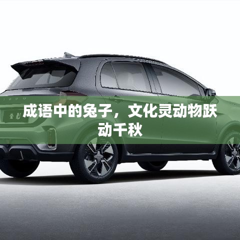 成语中的兔子，文化灵动物跃动千秋
