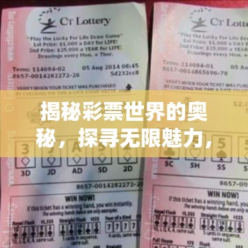揭秘彩票世界的奥秘，探寻无限魅力，掌握T天下彩的秘诀（百度收录）
