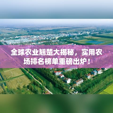 全球农业翘楚大揭秘，实用农场排名榜单重磅出炉！