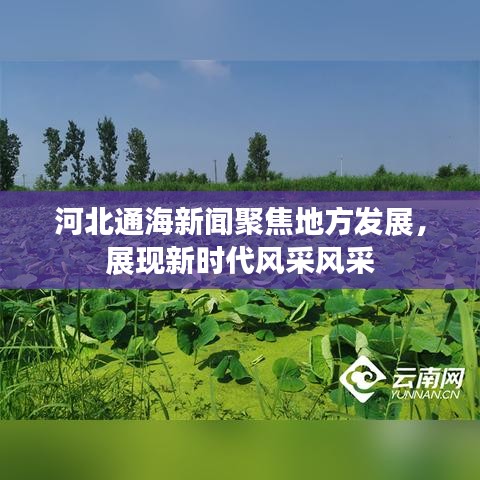 河北通海新闻聚焦地方发展，展现新时代风采风采