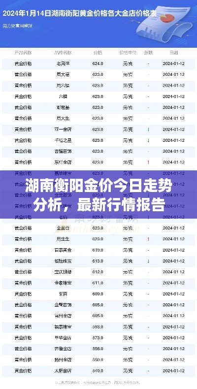 湖南衡阳金价今日走势分析，最新行情报告