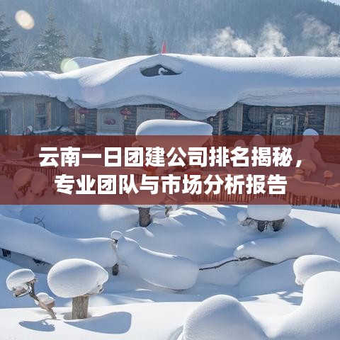 云南一日团建公司排名揭秘，专业团队与市场分析报告