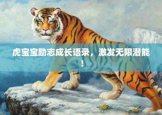 虎宝宝励志成长语录，激发无限潜能！