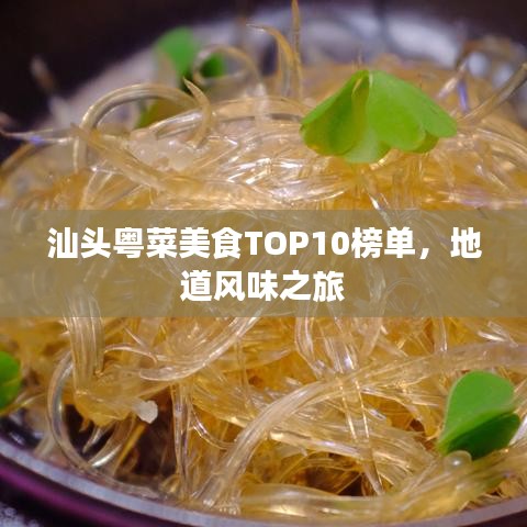 汕头粤菜美食TOP10榜单，地道风味之旅