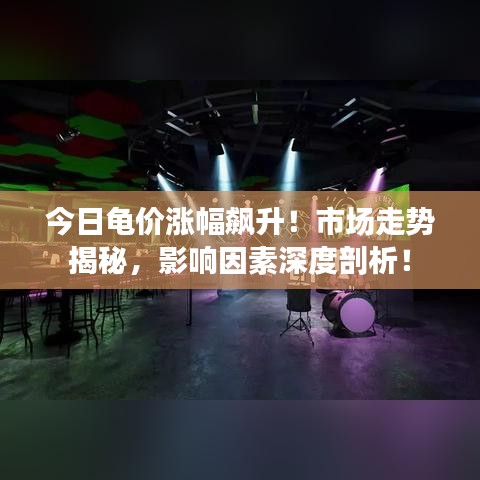 今日龟价涨幅飙升！市场走势揭秘，影响因素深度剖析！
