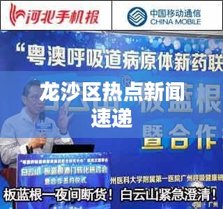 龙沙区热点新闻速递