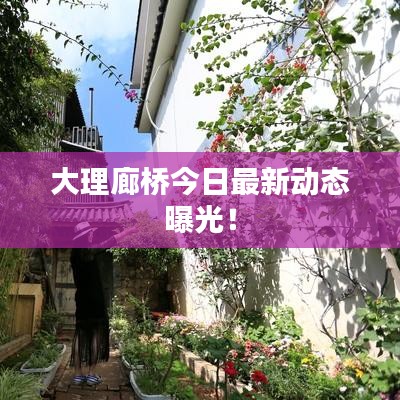 大理廊桥今日最新动态曝光！