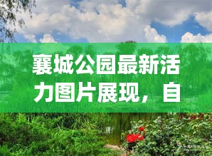 襄城公园最新活力图片展现，自然盛景下的生机勃勃景象！