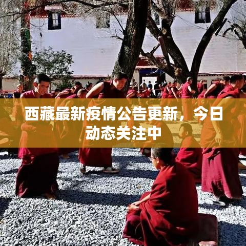 西藏最新疫情公告更新，今日动态关注中
