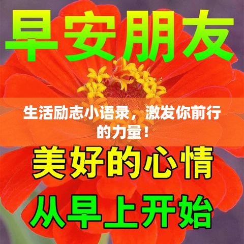 生活励志小语录，激发你前行的力量！