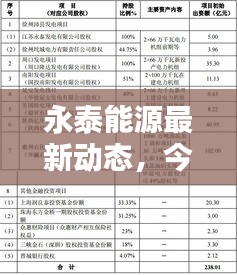 永泰能源最新动态，今日新闻报道更新汇总