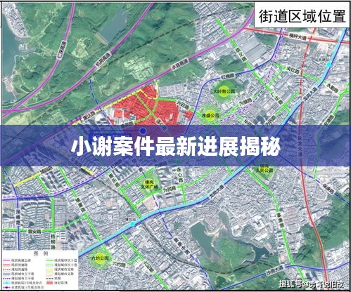 小谢案件最新进展揭秘