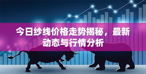 今日纱线价格走势揭秘，最新动态与行情分析