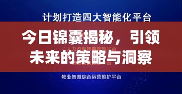 今日锦囊揭秘，引领未来的策略与洞察最新消息