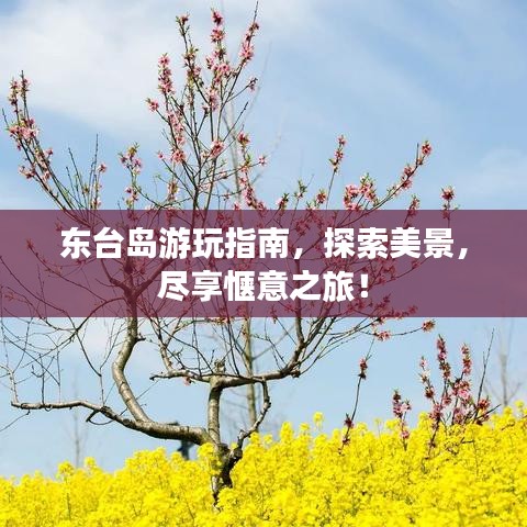 东台岛游玩指南，探索美景，尽享惬意之旅！