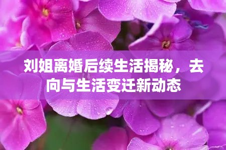 刘姐离婚后续生活揭秘，去向与生活变迁新动态