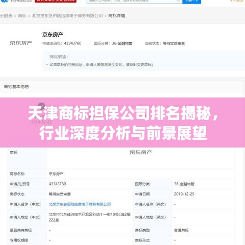 天津商标担保公司排名揭秘，行业深度分析与前景展望