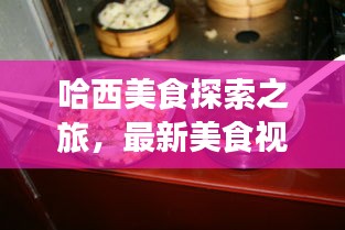 哈西美食探索之旅，最新美食视频播放网站，启程味蕾盛宴！