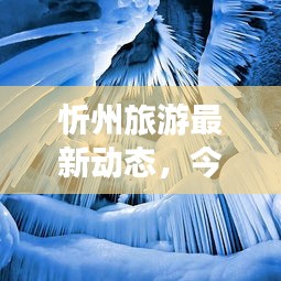 忻州旅游最新动态，今日旅游资讯一网打尽！