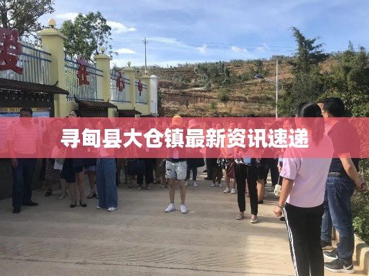 寻甸县大仓镇最新资讯速递
