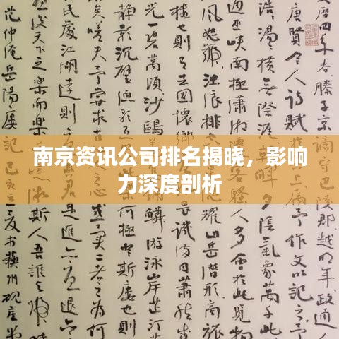 南京资讯公司排名揭晓，影响力深度剖析