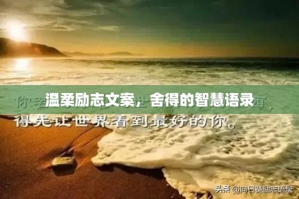 温柔励志文案，舍得的智慧语录