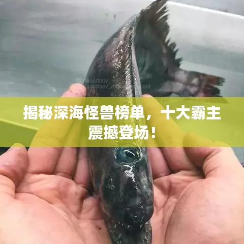 揭秘深海怪兽榜单，十大霸主震撼登场！