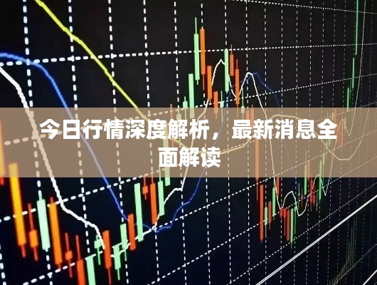 今日行情深度解析，最新消息全面解读