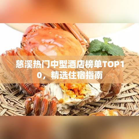 慈溪热门中型酒店榜单TOP10，精选住宿指南