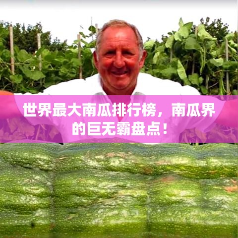 世界最大南瓜排行榜，南瓜界的巨无霸盘点！