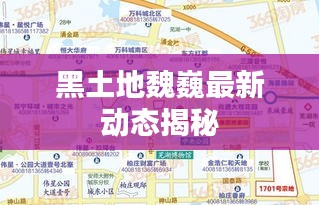 黑土地魏巍最新动态揭秘