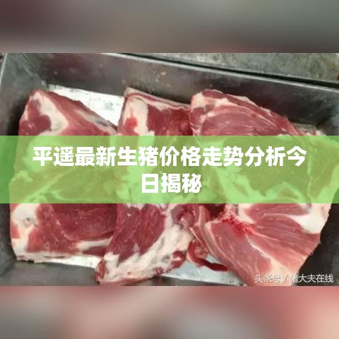 平遥最新生猪价格走势分析今日揭秘