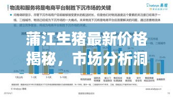 蒲江生猪最新价格揭秘，市场分析洞察与趋势预测