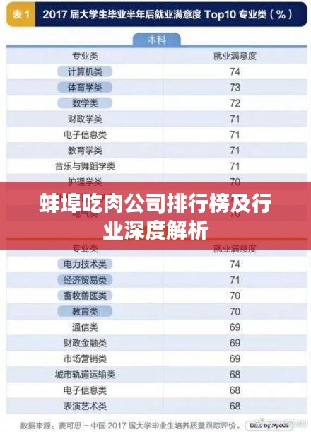 蚌埠吃肉公司排行榜及行业深度解析
