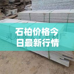 石柏价格今日最新行情动态