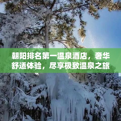 朝阳排名第一温泉酒店，奢华舒适体验，尽享极致温泉之旅