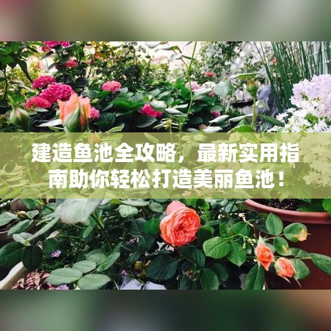 建造鱼池全攻略，最新实用指南助你轻松打造美丽鱼池！