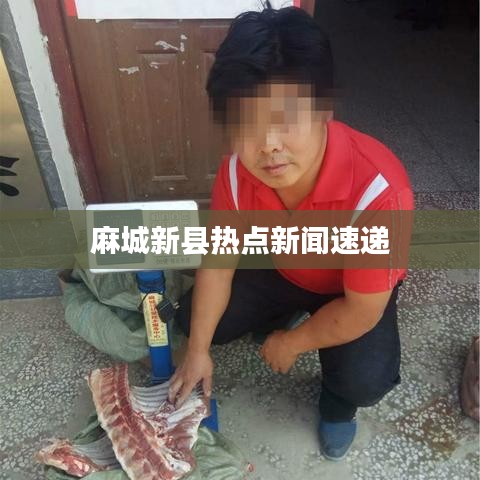 麻城新县热点新闻速递